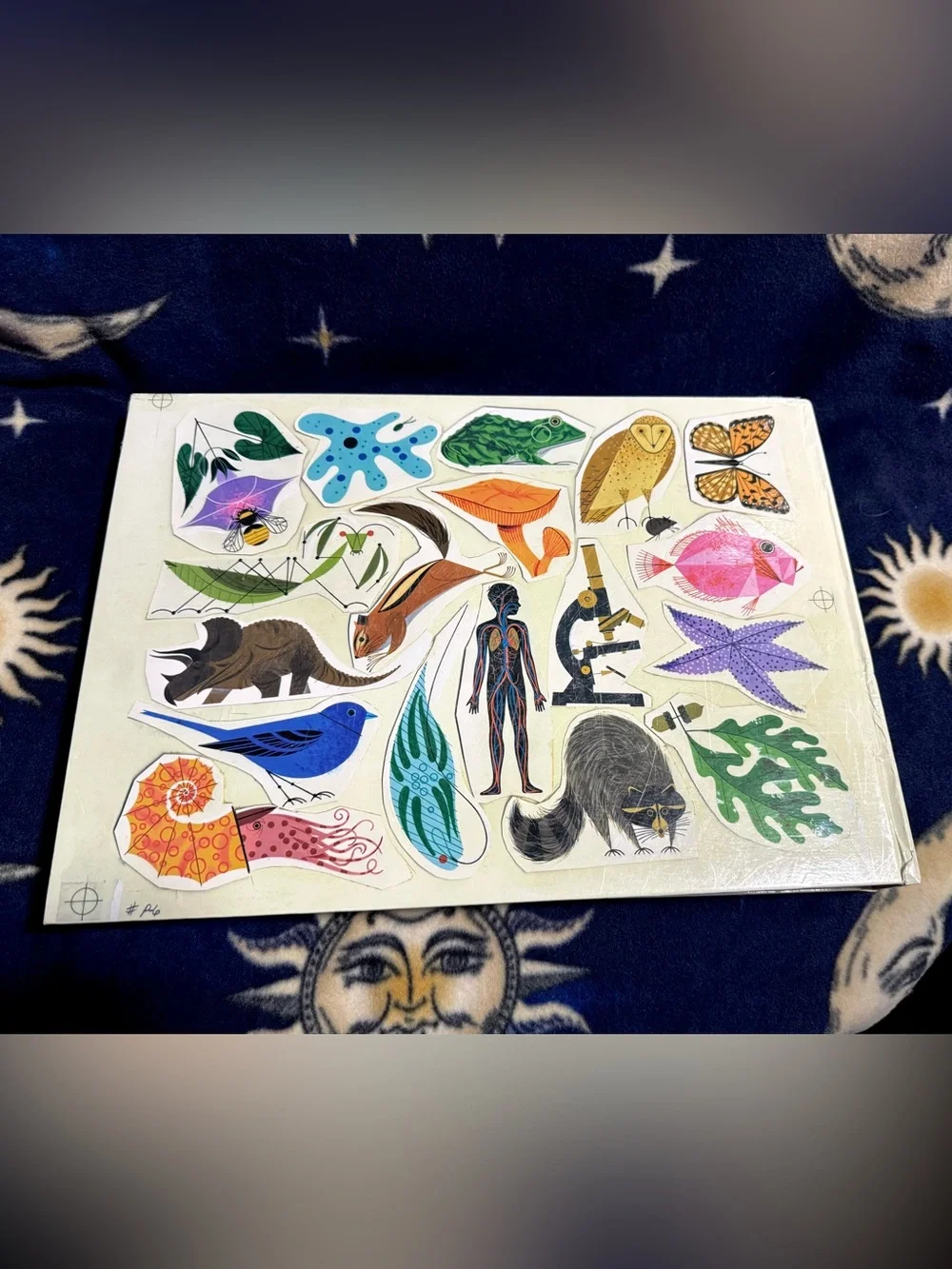 Charley Harper An Illustrated Life Todd Oldham Giant Art Book Biology Nature